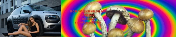 прущие грибы Белоозёрский