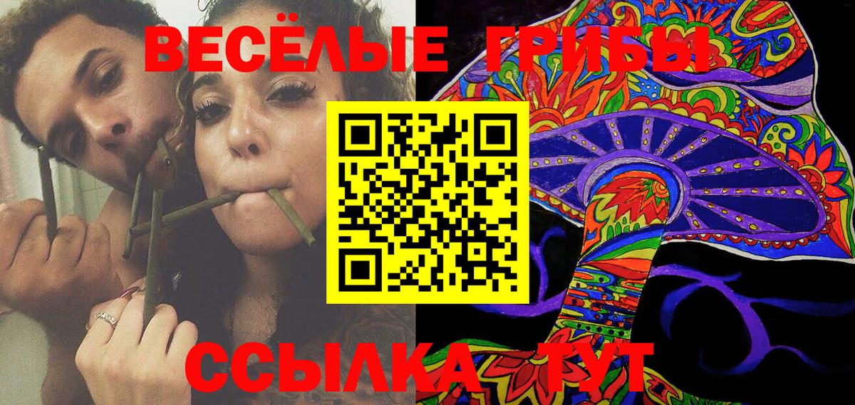 Галлюциногенные грибы Psilocybine cubensis  Петропавловск-Камчатский  Галлюциногенные грибы MAGIC MUSHROOMS 